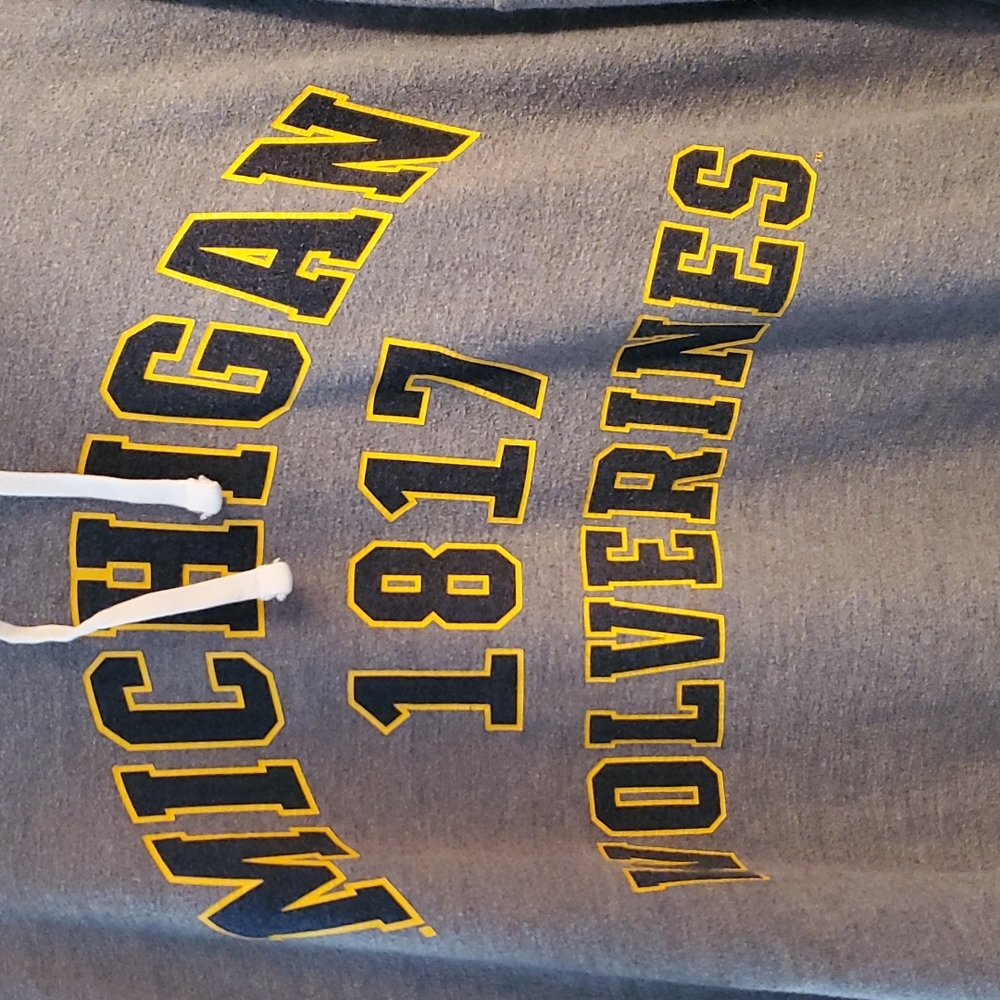 Victoria's Secret Pink Michigan Wolverines hoodie